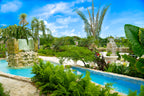 Corporate Retreats & Brand Launches