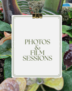 Photo & Film Sessions