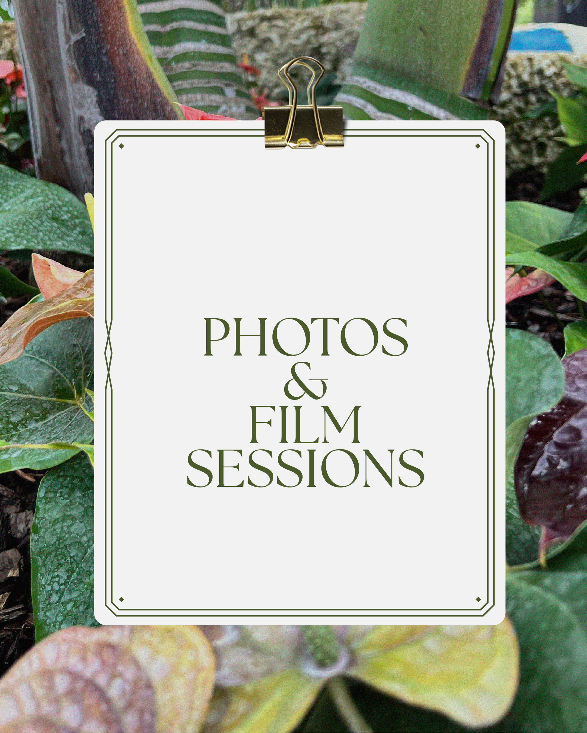Photo & Film Sessions