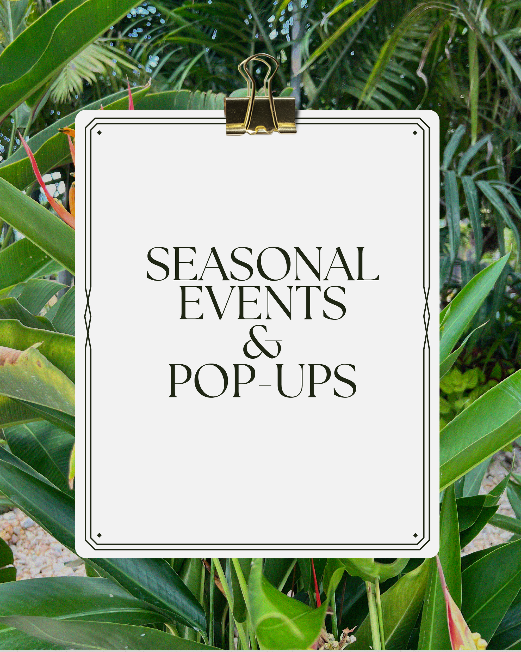 Seasonal Events & Pop-Ups