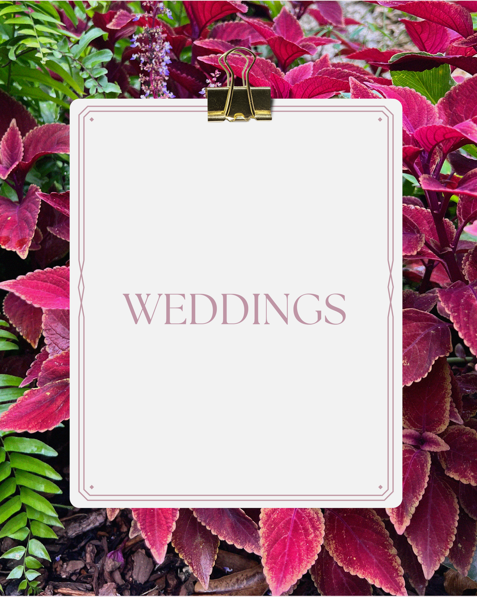 Weddings